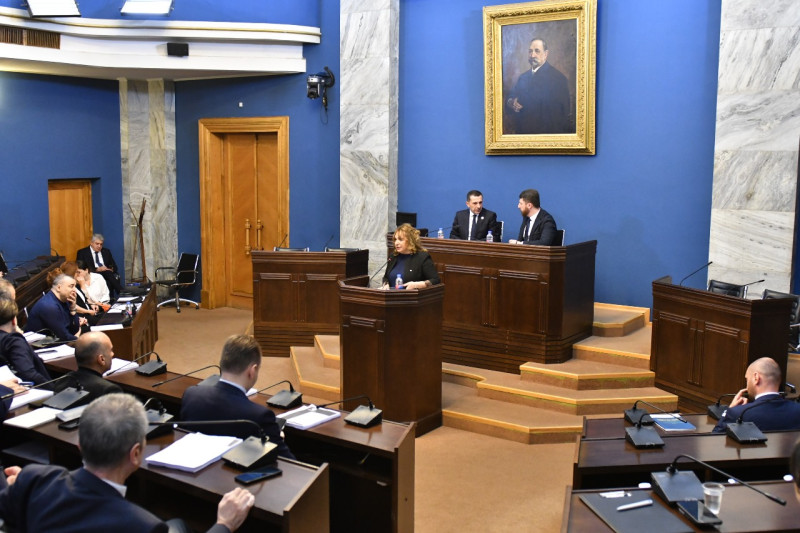 პერსონალურ მონაცემთა დაცვის სამსახურის უფროსმა ლელა ჯანაშვილმა პარლამენტს  2024 წლის საქმიანობის ანგარიში წარუდგინა